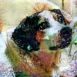 Meet your Posher, Pam